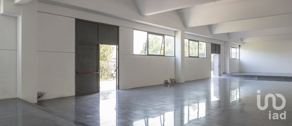 Negozio / locale commerciale di 1.150 m² in Porto Sant'Elpidio (63821)