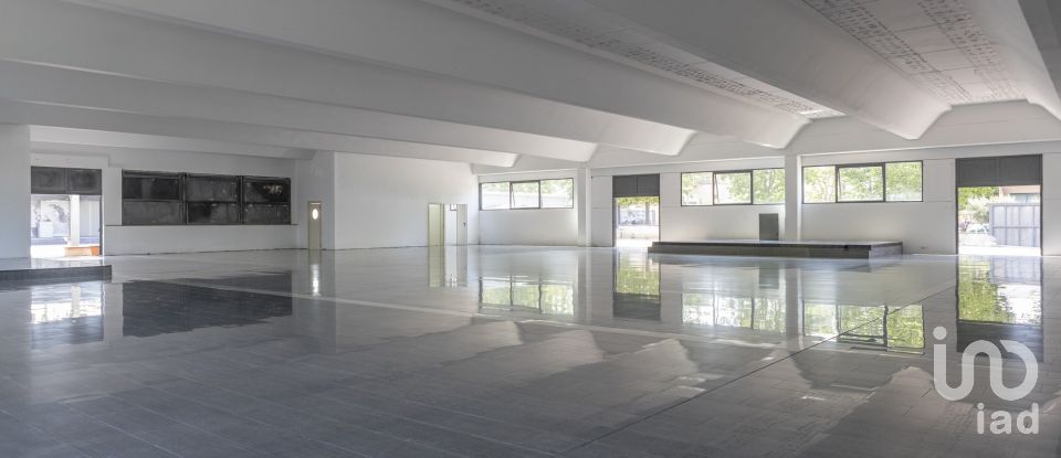 Negozio / locale commerciale di 1.150 m² in Porto Sant'Elpidio (63821)