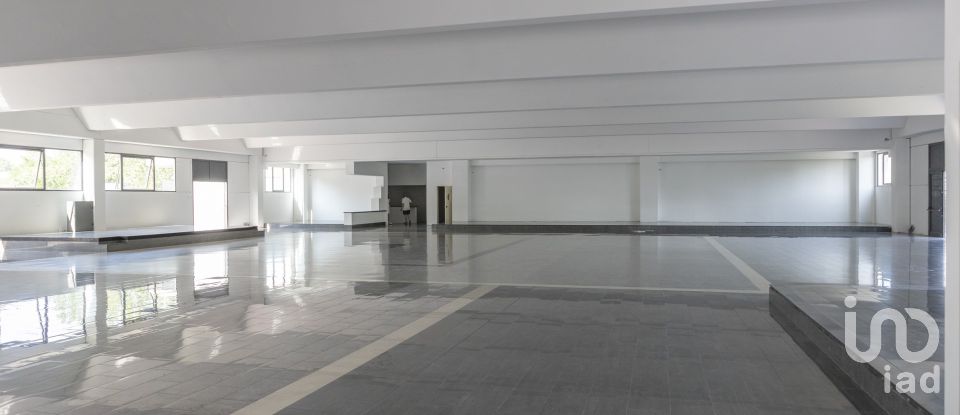 Negozio / locale commerciale di 1.150 m² in Porto Sant'Elpidio (63821)