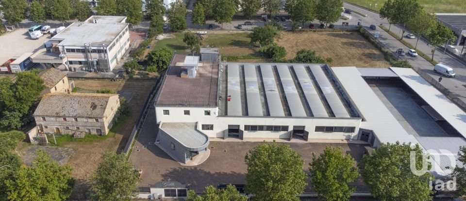 Negozio / locale commerciale di 1.150 m² in Porto Sant'Elpidio (63821)