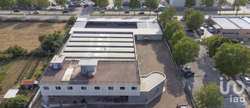 Negozio / locale commerciale di 1.150 m² in Porto Sant'Elpidio (63821)