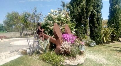 Casale 19 locali di 600 m² in Campomarino (86042)