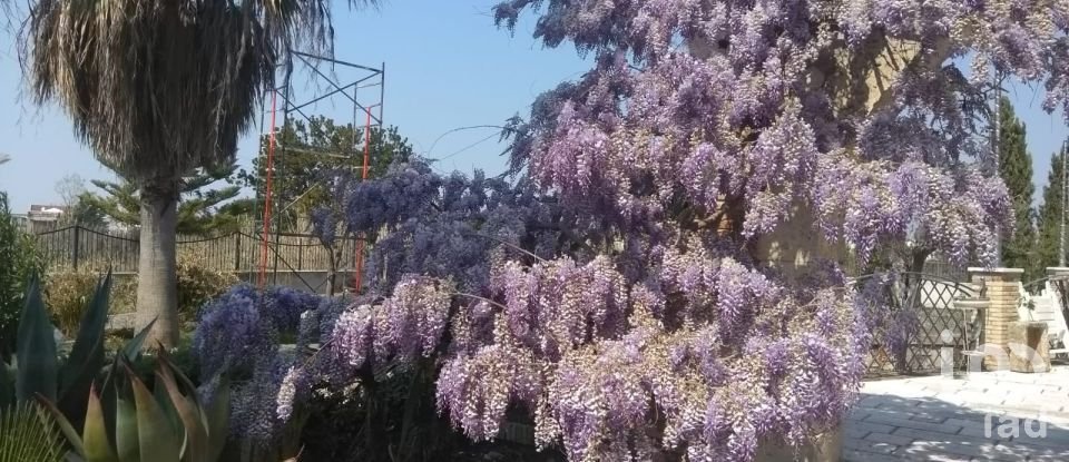 Casale 19 locali di 600 m² in Campomarino (86042)