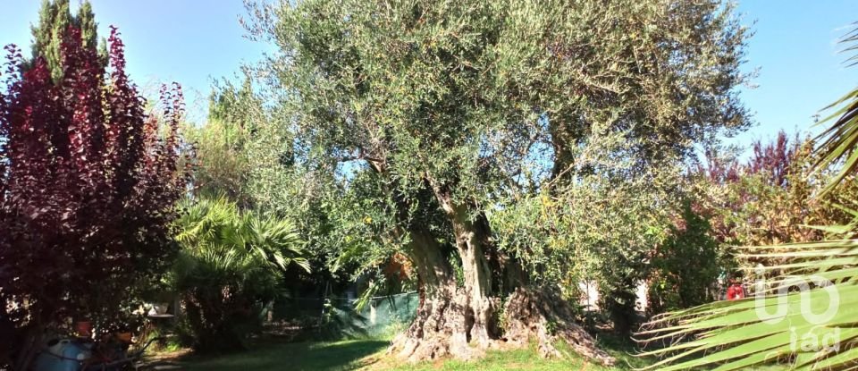 Casale 19 locali di 600 m² in Campomarino (86042)