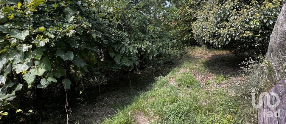 Country home 0 rooms of 243 m² in Calice Ligure (17020)