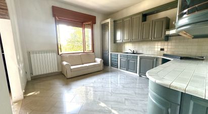 Casale 9 locali di 248 m² in Stienta (45039)