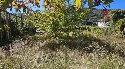 Casa indipendente 8 locali di 194 m² in Ortovero (17037)