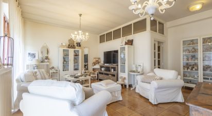 Palazzo / Stabile 0 locali di 650 m² a Morrovalle (62010)