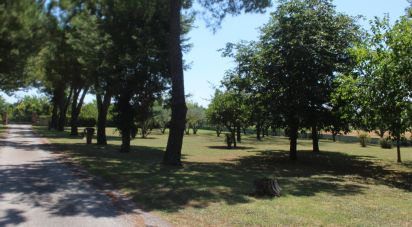 Villa Bifamiliare 8 locali di 363 m² in Fano (61032)