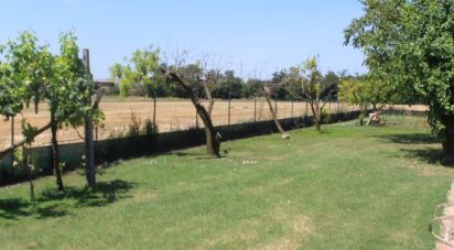 Villa Bifamiliare 8 locali di 363 m² in Fano (61032)