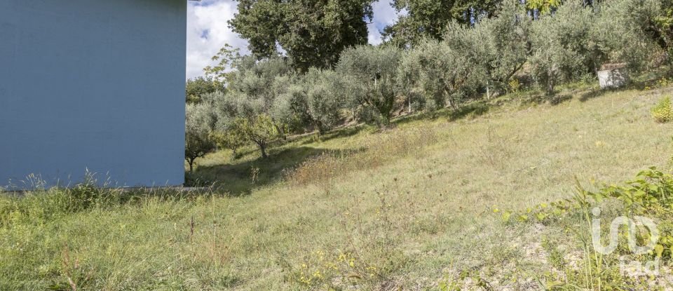 House 10 rooms of 235 m² in Macerata (62100)