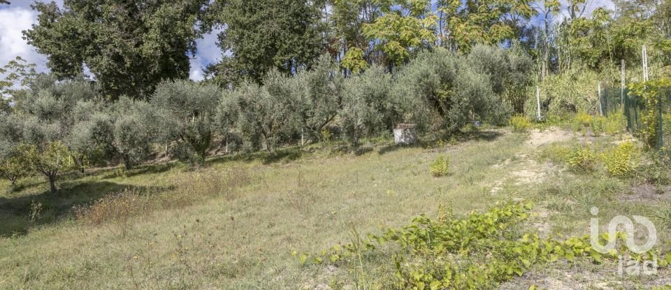 House 10 rooms of 235 m² in Macerata (62100)