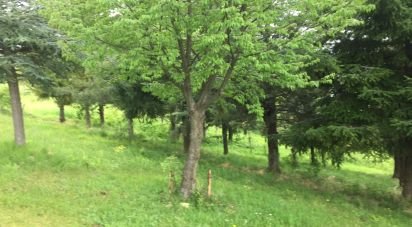 Baita / Chalet 4 locali di 90 m² in Castelli (64041)