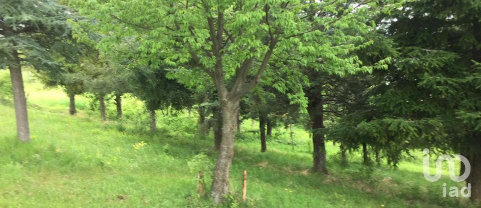 Baita / Chalet 4 locali di 90 m² in Castelli (64041)