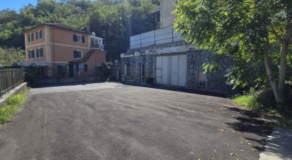 Warehouse of 1,400 m² in Genova (16165)