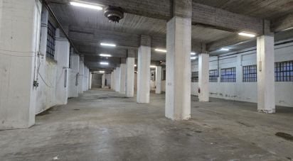 Warehouse of 1,400 m² in Genova (16165)