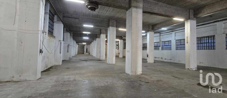 Capannone di 1.400 m² in Genova (16165)