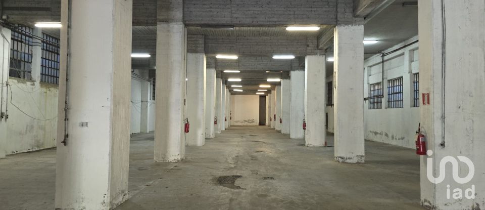 Capannone di 1.400 m² in Genova (16165)