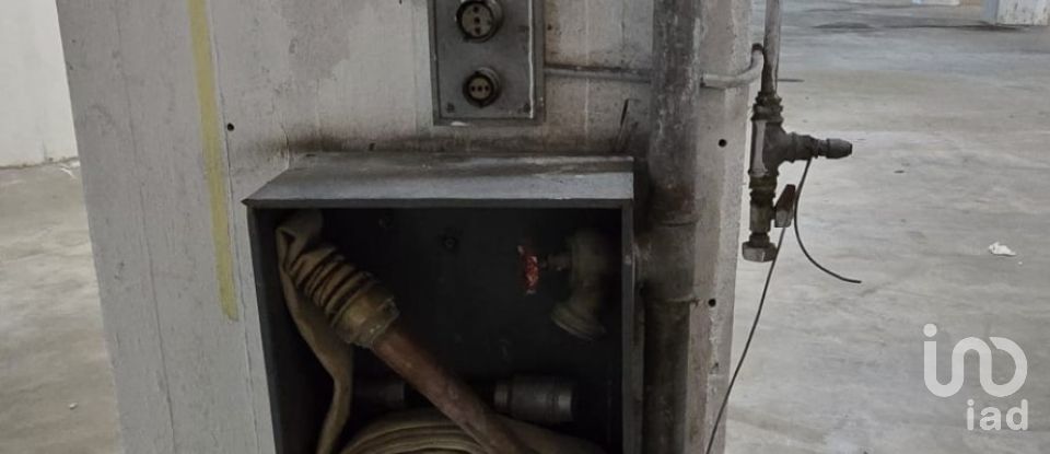 Capannone di 1.400 m² in Genova (16165)