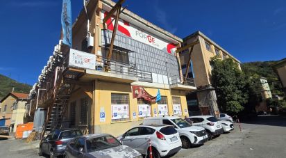 Capannone di 1.200 m² in Genova (16161)