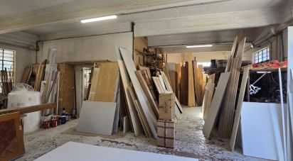 Capannone di 1.200 m² in Genova (16161)