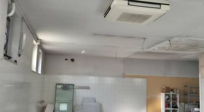 Shop / premises commercial of 140 m² in Santa Maria di Sala (30036)