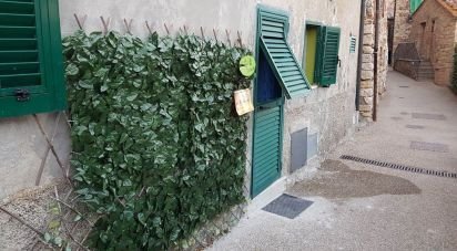 Monolocale di 45 m² a Castelnuovo di Val di Cecina (56041)