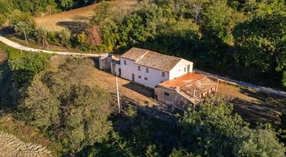 Casa indipendente / Villa 8 locali di 194 m² in Civitanova Marche (62012)