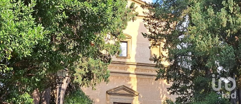 Tobacco of 37 m² in Firenze (50132)