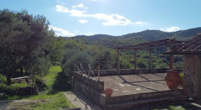 Casa indipendente 10 locali di 550 m² in Figline Valdarno (50063)