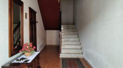Apartment 9 rooms of 175 m² in Monte Porzio (61040)