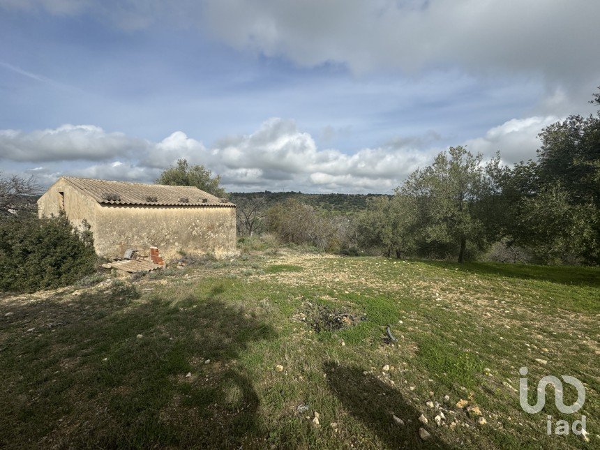 Farm land of 44,997 m² in Noto (96017)