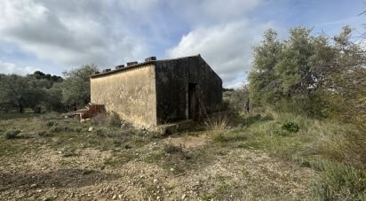 Terreno agricolo di 44.997 m² in Noto (96017)