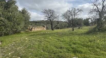 Terreno agricolo di 44.997 m² in Noto (96017)