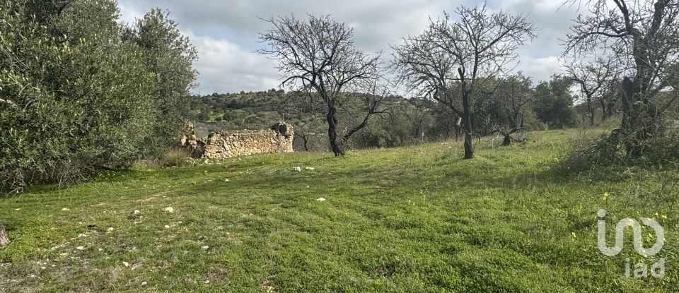 Farm land of 44,997 m² in Noto (96017)