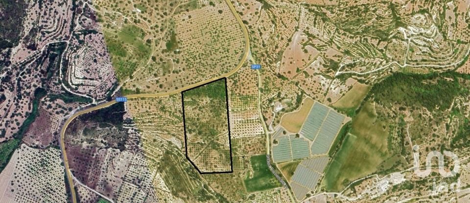 Farm land of 44,997 m² in Noto (96017)