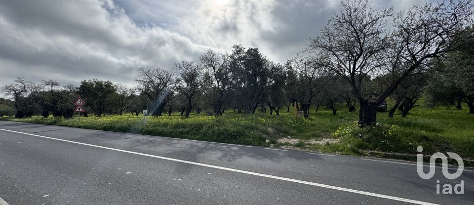 Farm land of 44,997 m² in Noto (96017)