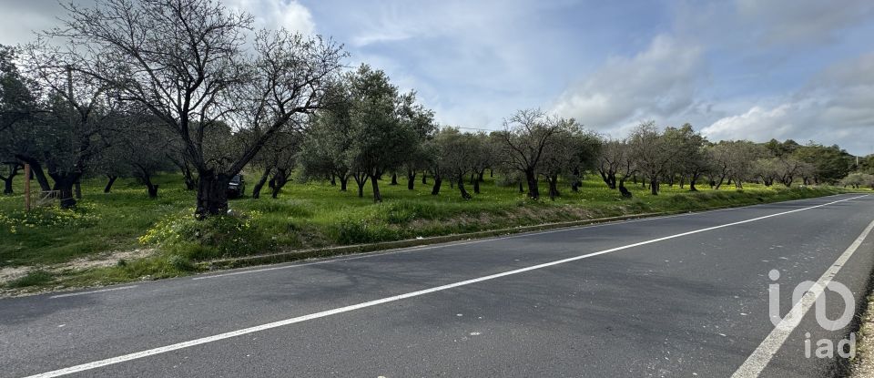 Farm land of 44,997 m² in Noto (96017)