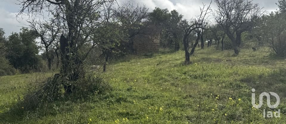 Farm land of 44,997 m² in Noto (96017)