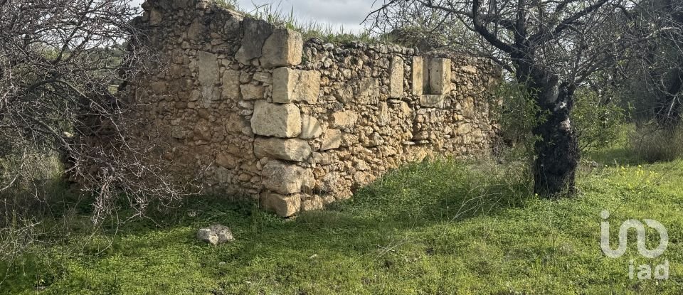 Farm land of 44,997 m² in Noto (96017)