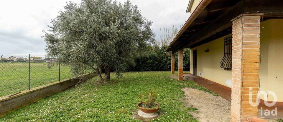 House 7 rooms of 130 m² in Cascina (56023)