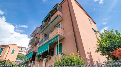 Trilocale di 85 m² a Borgio Verezzi (17022)