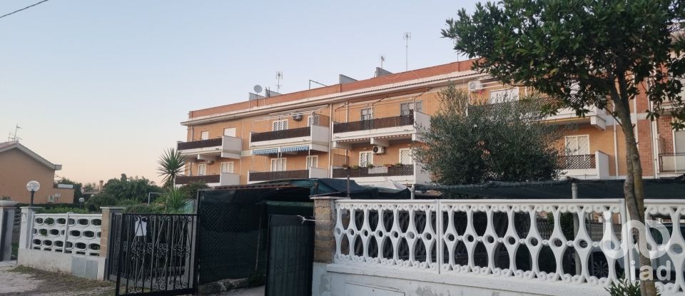 Three-room apartment of 96 m² in Ardea (00040)