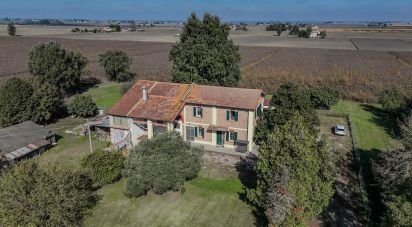 Casa indipendente / Villa 9 locali di 357 m² in Jolanda di Savoia (44037)