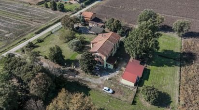 Casa indipendente / Villa 9 locali di 357 m² in Jolanda di Savoia (44037)