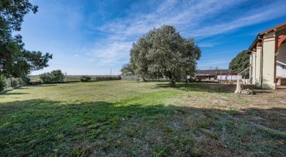 Casa indipendente / Villa 9 locali di 357 m² in Jolanda di Savoia (44037)