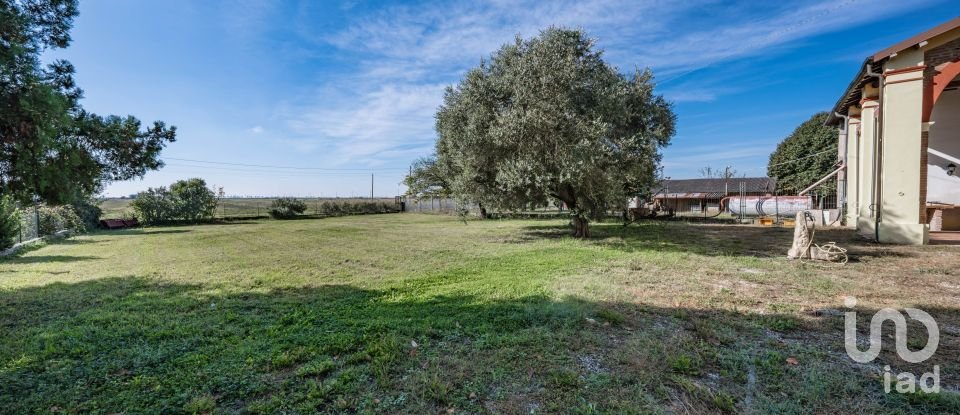 House 9 rooms of 357 m² in Jolanda di Savoia (44037)