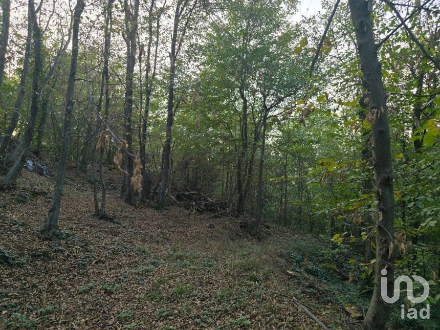 Terreno di 9.300 m² in Rivoli (10098)