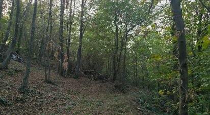 Terreno di 9.300 m² in Rivoli (10098)