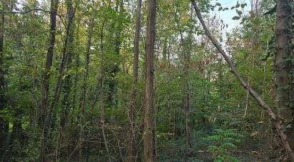 Terreno di 9.300 m² in Rivoli (10098)